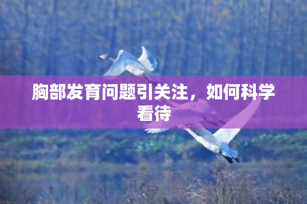 胸部发育问题引关注，如何科学看待