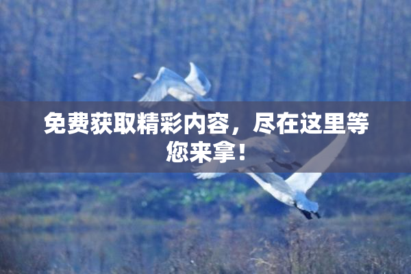 免费获取精彩内容，尽在这里等您来拿！