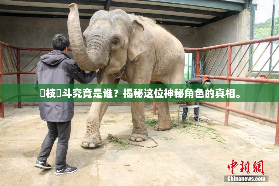 狛枝凪斗究竟是谁？揭秘这位神秘角色的真相。