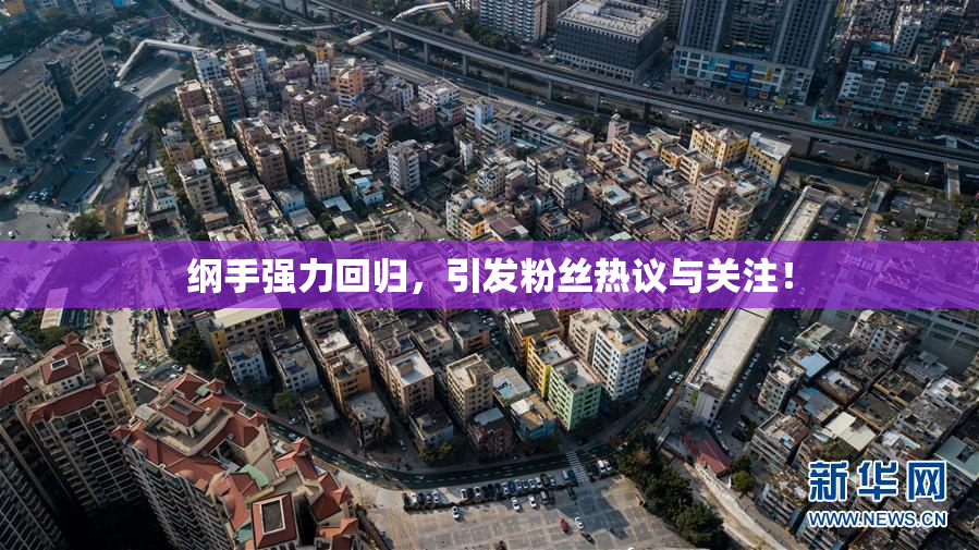 纲手强力回归，引发粉丝热议与关注！