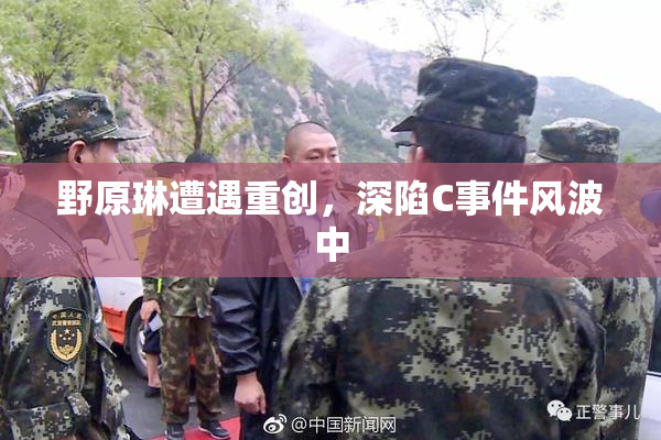 野原琳遭遇重创，深陷C事件风波中