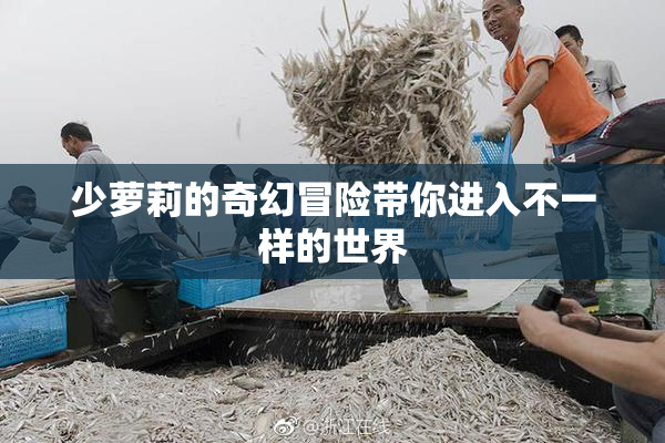 少萝莉的奇幻冒险带你进入不一样的世界