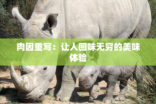 肉因重写：让人回味无穷的美味体验