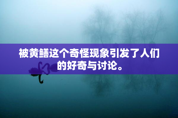 被黄鳝这个奇怪现象引发了人们的好奇与讨论。