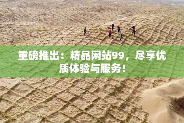 重磅推出：精品网站99，尽享优质体验与服务！