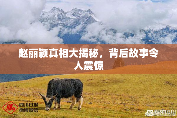 赵丽颖真相大揭秘，背后故事令人震惊