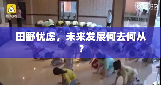 田野忧虑，未来发展何去何从？