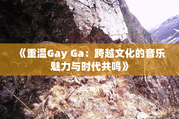 《重温Gay Ga：跨越文化的音乐魅力与时代共鸣》