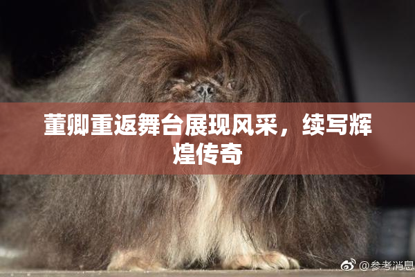 董卿重返舞台展现风采，续写辉煌传奇