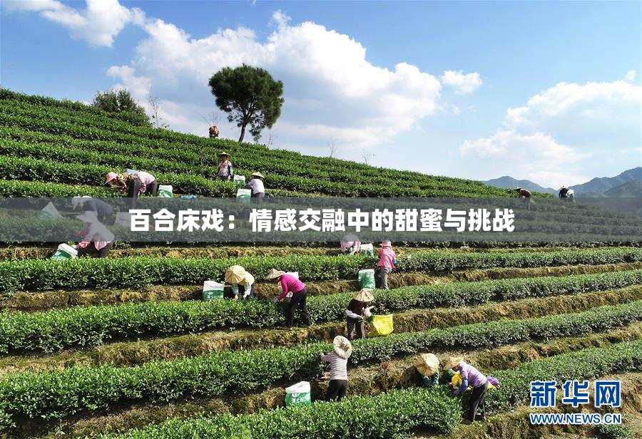 百合床戏：情感交融中的甜蜜与挑战