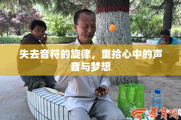 失去音符的旋律，重拾心中的声音与梦想