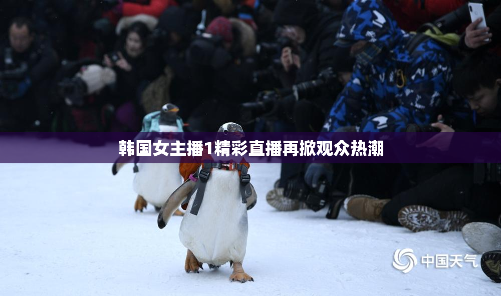 韩国女主播1精彩直播再掀观众热潮