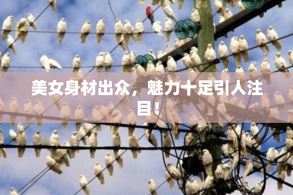 美女身材出众，魅力十足引人注目！