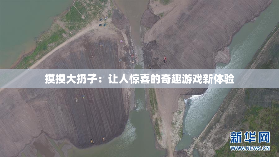 摸摸大扔子：让人惊喜的奇趣游戏新体验