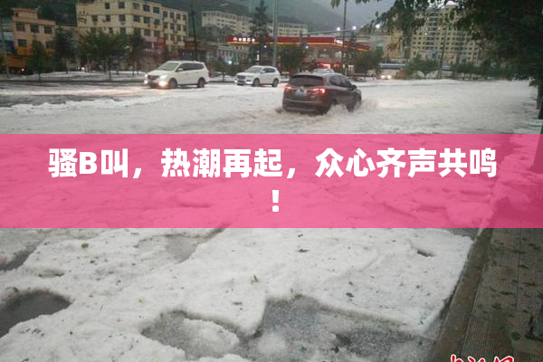 骚B叫，热潮再起，众心齐声共鸣！