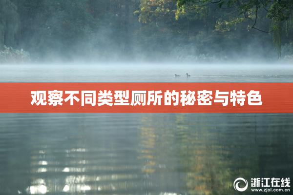 观察不同类型厕所的秘密与特色