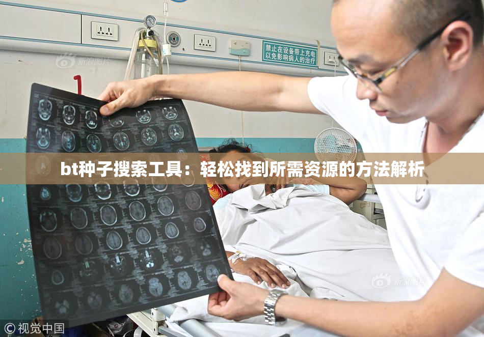 bt种子搜索工具：轻松找到所需资源的方法解析