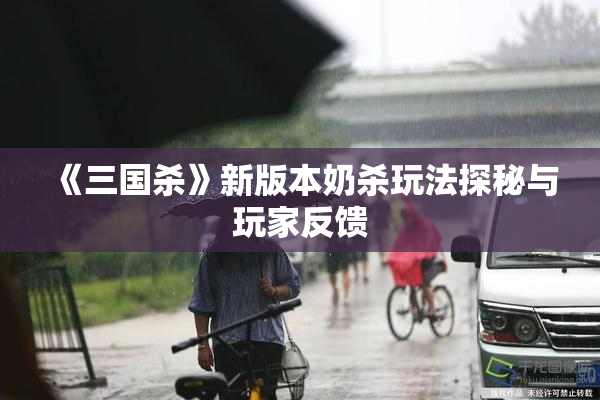《三国杀》新版本奶杀玩法探秘与玩家反馈