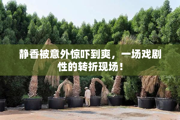 静香被意外惊吓到爽，一场戏剧性的转折现场！