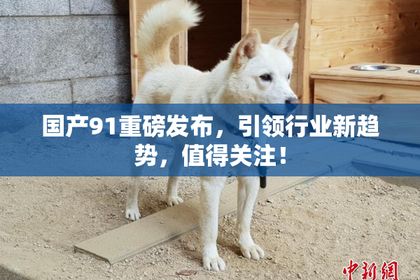 国产91重磅发布，引领行业新趋势，值得关注！
