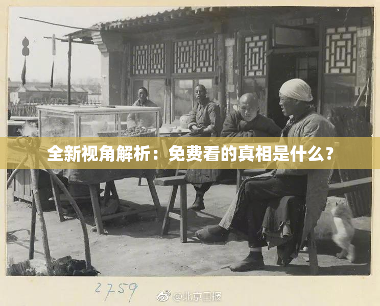全新视角解析：免费看的真相是什么？