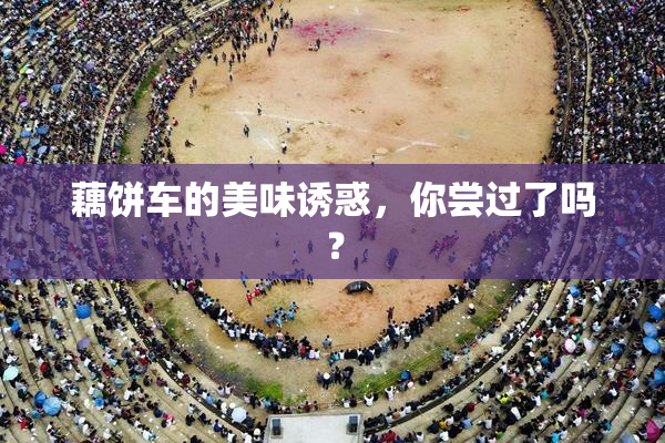 藕饼车的美味诱惑，你尝过了吗？