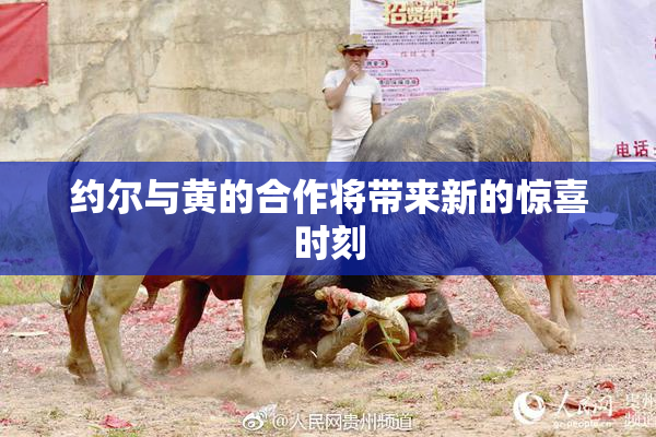 约尔与黄的合作将带来新的惊喜时刻