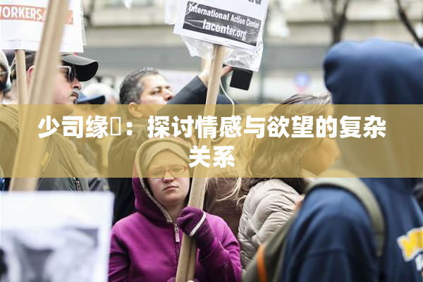 少司缘婬：探讨情感与欲望的复杂关系