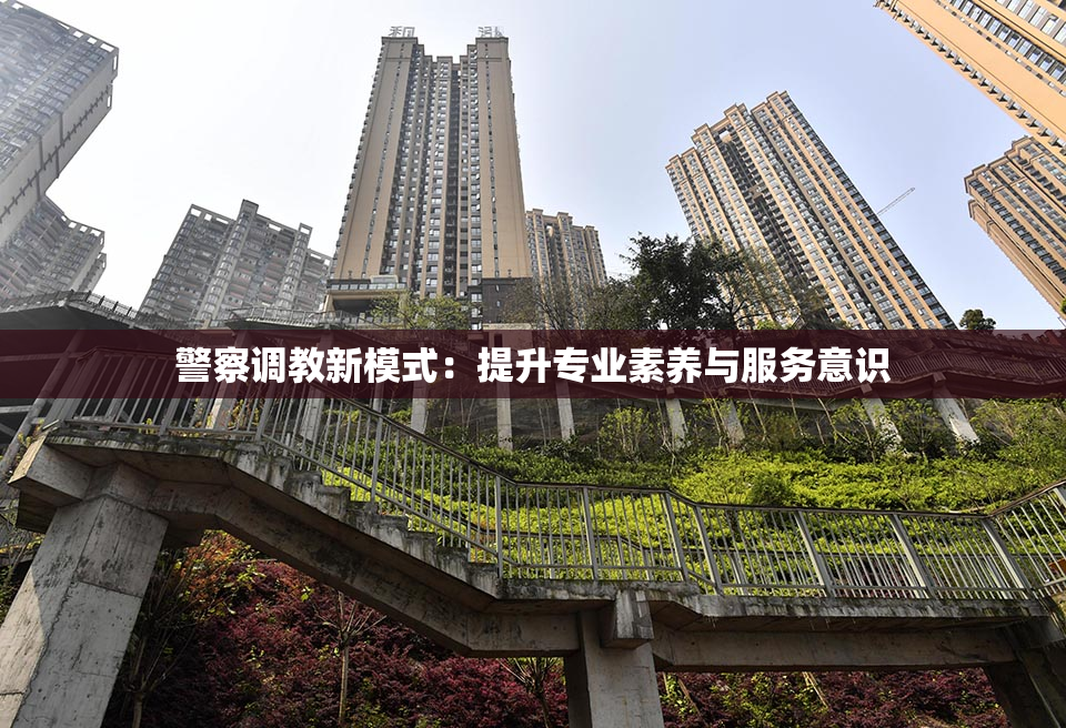 警察调教新模式：提升专业素养与服务意识