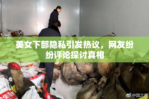 美女下部隐私引发热议，网友纷纷评论探讨真相