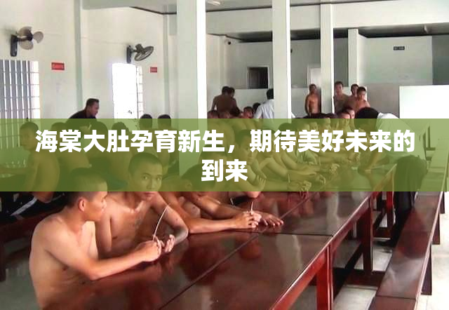 海棠大肚孕育新生，期待美好未来的到来