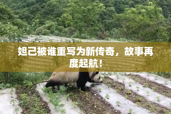 妲己被谁重写为新传奇，故事再度起航！