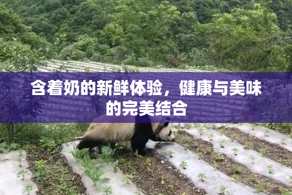 含着奶的新鲜体验，健康与美味的完美结合