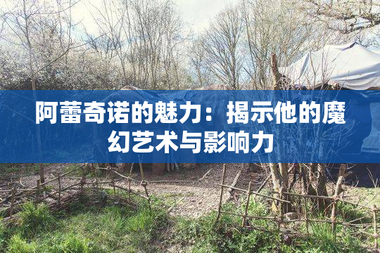 阿蕾奇诺的魅力：揭示他的魔幻艺术与影响力