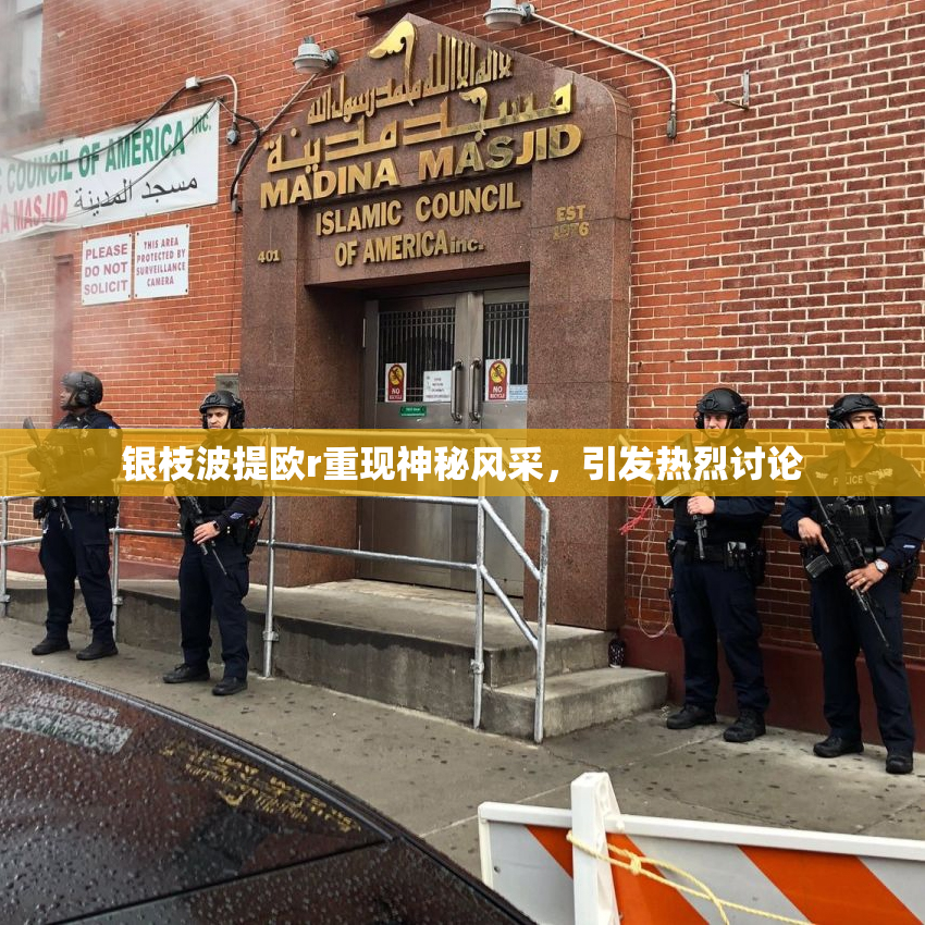 银枝波提欧r重现神秘风采，引发热烈讨论