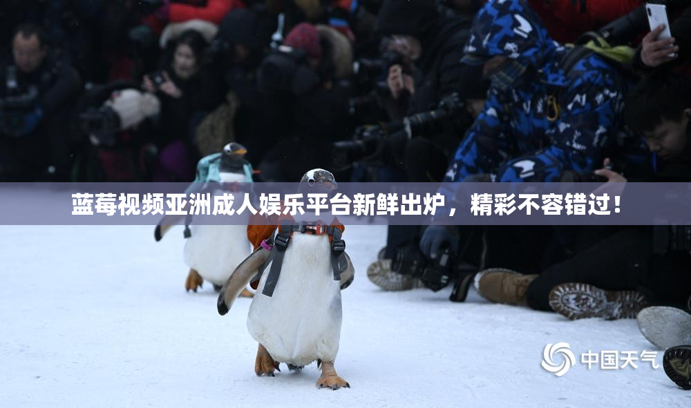 蓝莓视频亚洲成人娱乐平台新鲜出炉，精彩不容错过！