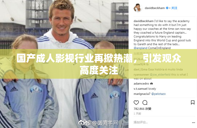国产成人影视行业再掀热潮，引发观众高度关注
