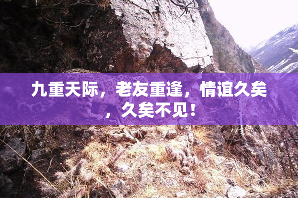 九重天际，老友重逢，情谊久矣，久矣不见！