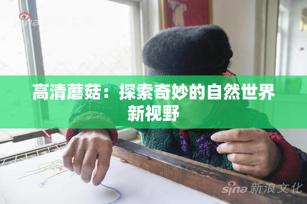 高清蘑菇：探索奇妙的自然世界新视野
