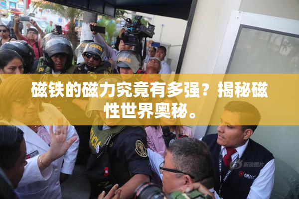 磁铁的磁力究竟有多强？揭秘磁性世界奥秘。