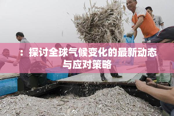 ：探讨全球气候变化的最新动态与应对策略