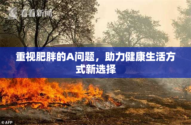 重视肥胖的A问题，助力健康生活方式新选择