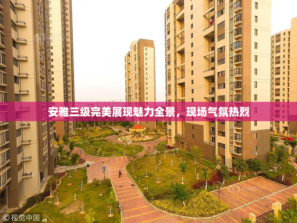 安雅三级完美展现魅力全景，现场气氛热烈