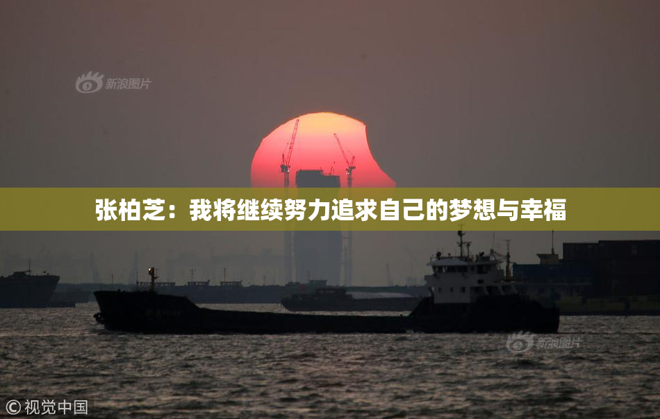 张柏芝：我将继续努力追求自己的梦想与幸福