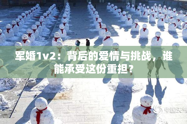 军婚1v2：背后的爱情与挑战，谁能承受这份重担？