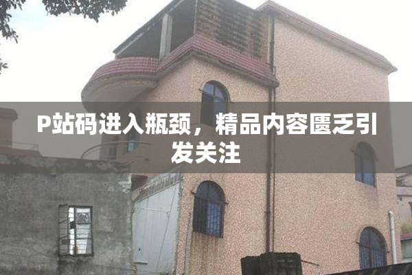 P站码进入瓶颈，精品内容匮乏引发关注