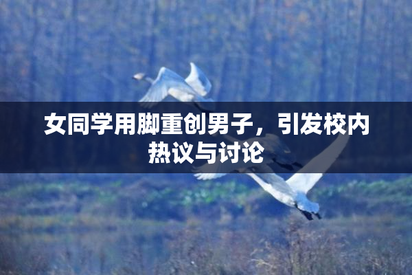 女同学用脚重创男子，引发校内热议与讨论