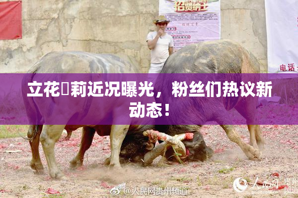 立花瑠莉近况曝光，粉丝们热议新动态！