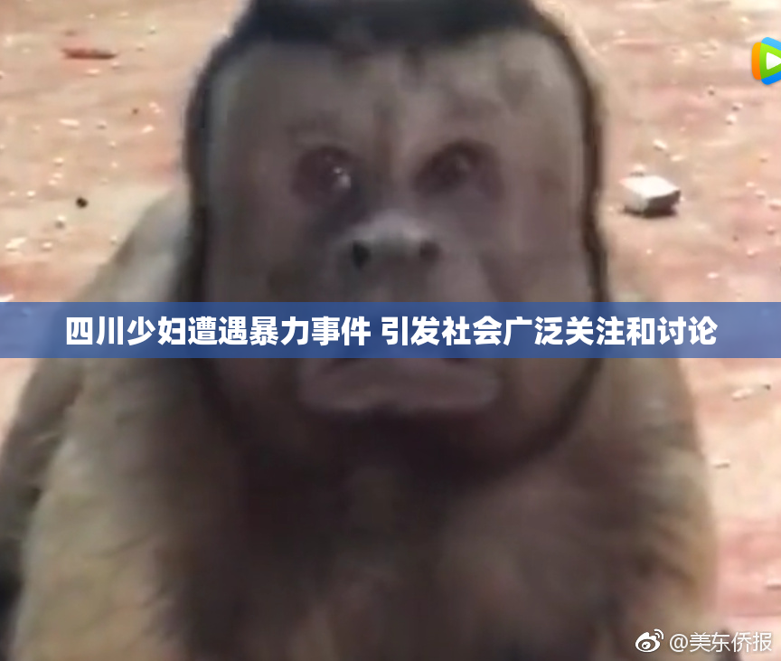 四川少妇遭遇暴力事件 引发社会广泛关注和讨论