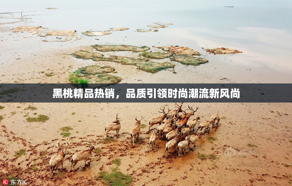黑桃精品热销，品质引领时尚潮流新风尚